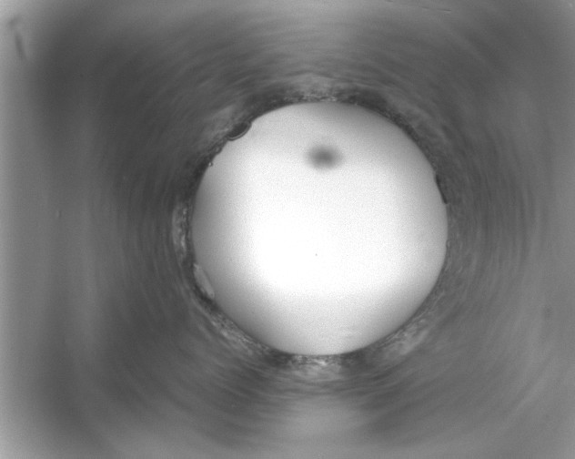 X0000053010768200508051200