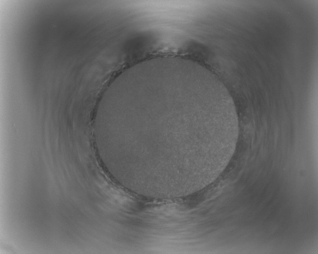 X0000053010769200508051159