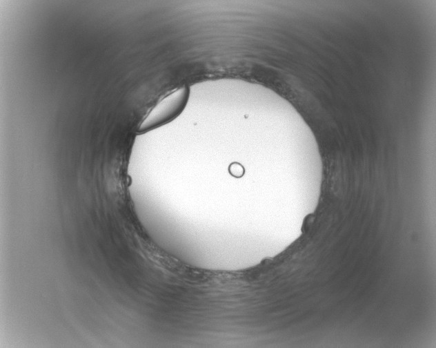 X0000053010770200508051159