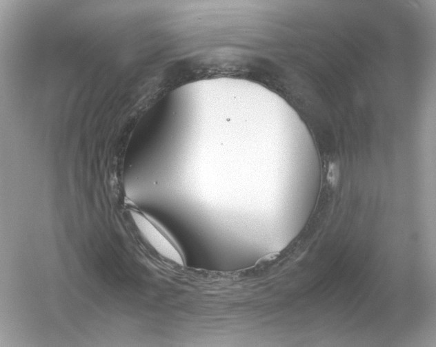 X0000053010771200508051159