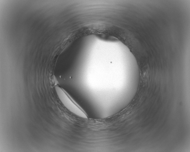 X0000053010772200508051159