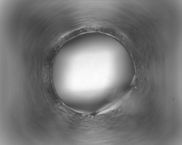 X0000053010773200508051159