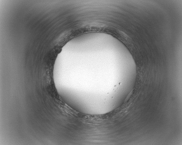 X0000053010774200508051159