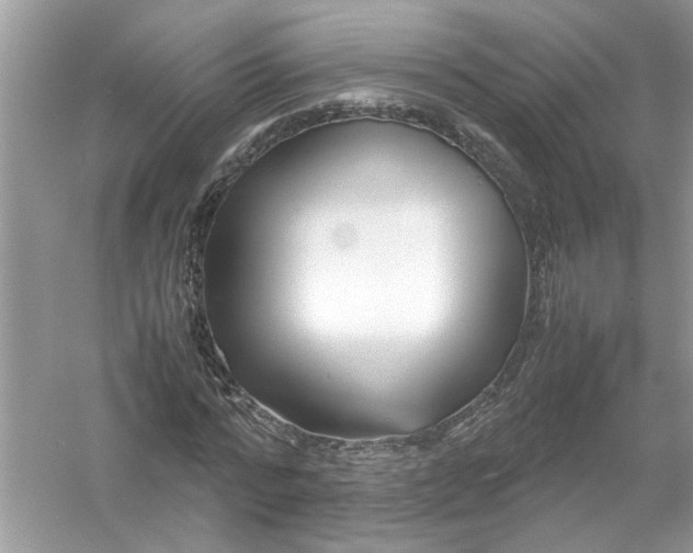 X0000053010776200508051159