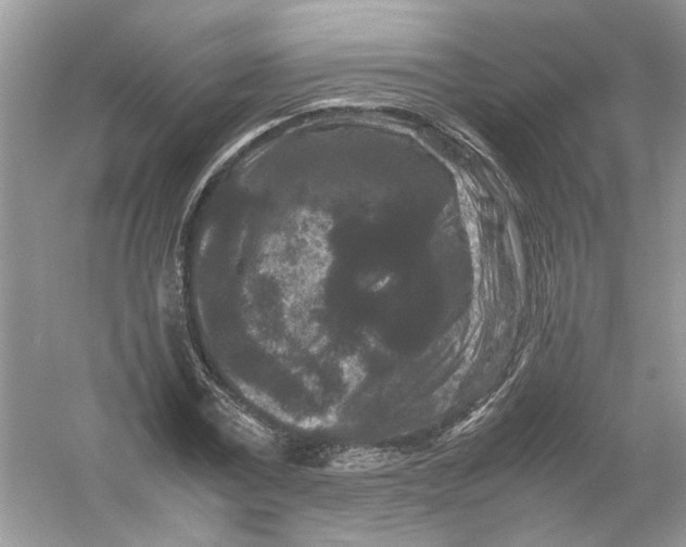 X0000053010779200508051159