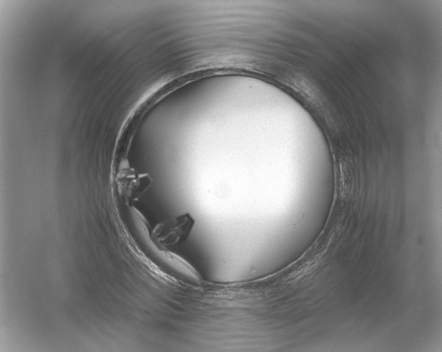 X0000053010780200508051159