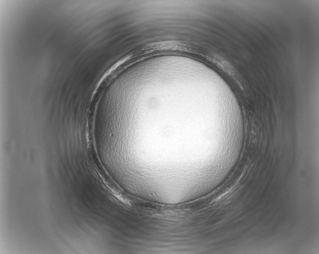 X0000053010782200508051159