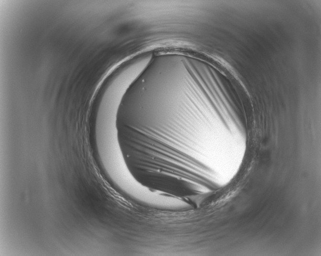 X0000053010783200508051159