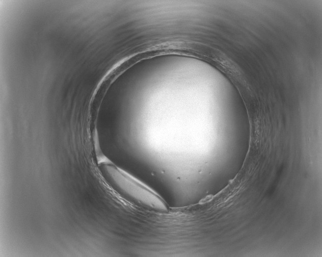 X0000053010784200508051159