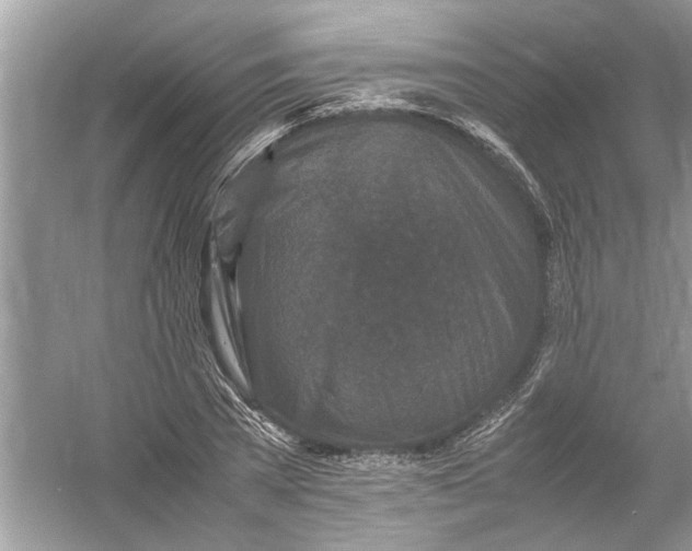 X0000053010785200508051159