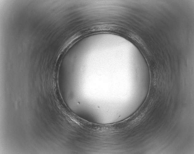 X0000053010786200508051159