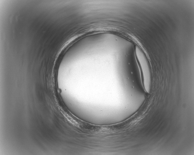 X0000053010787200508051159