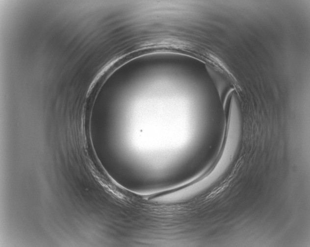 X0000053010788200508051159