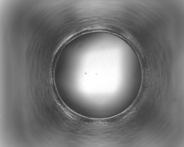 X0000053010789200508051159