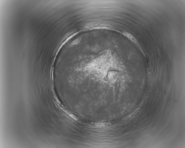 X0000053010790200508051159