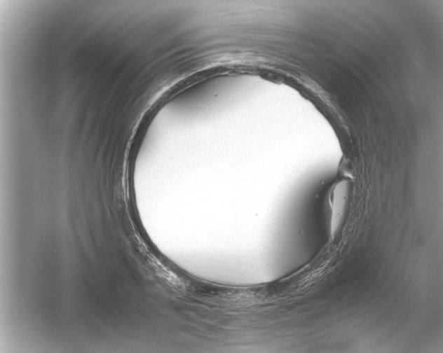 X0000053010791200508051159