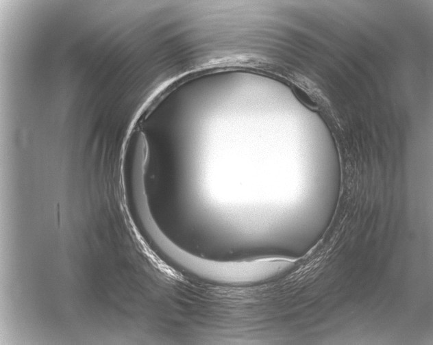 X0000053010792200508051159