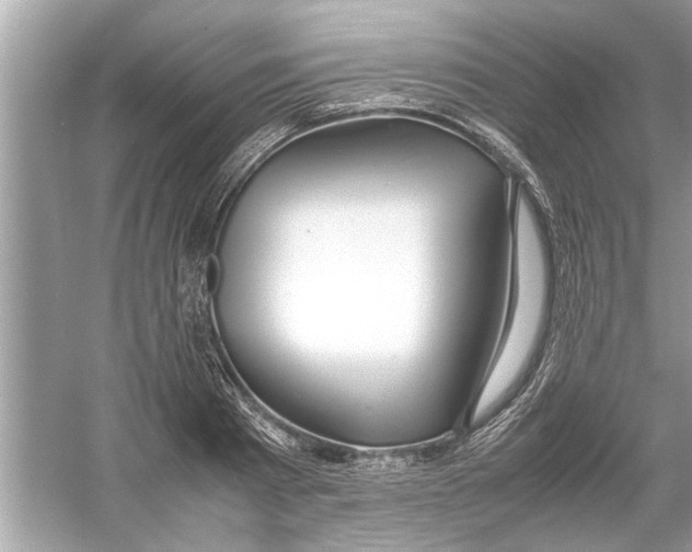 X0000053010793200508051159