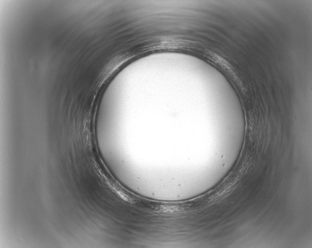 X0000053010794200508051159