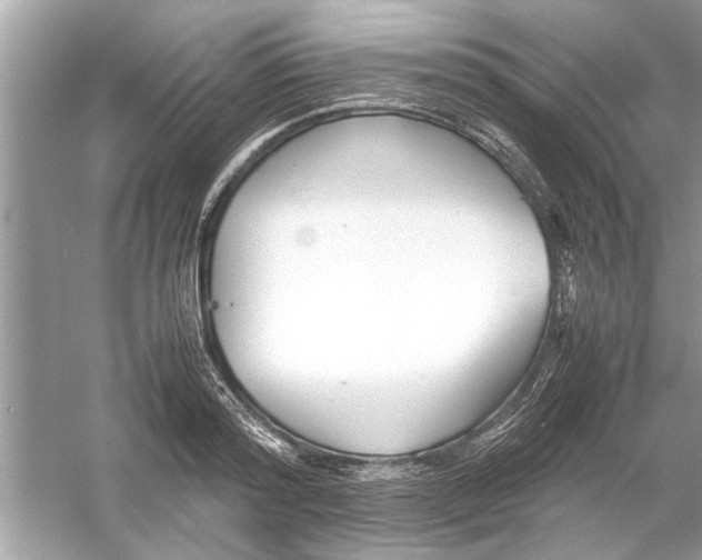 X0000053010796200508051159