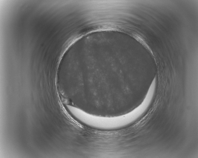 X0000053010797200508051159