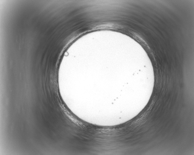 X0000053010800200508051159