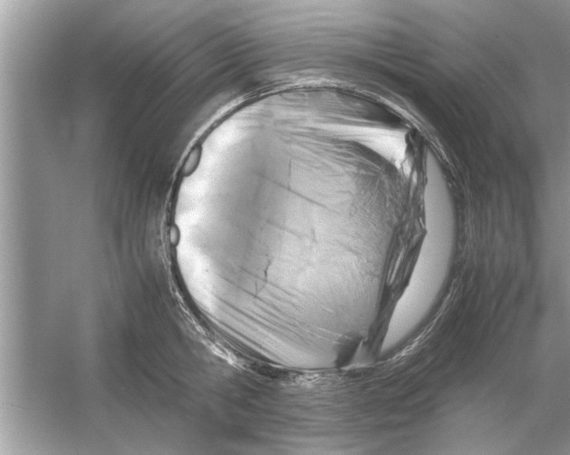 X0000053010806200508051159