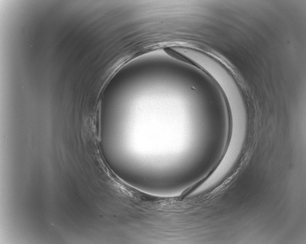 X0000053010809200508051159