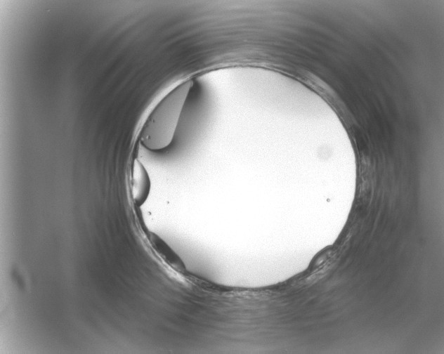 X0000053010812200508051159