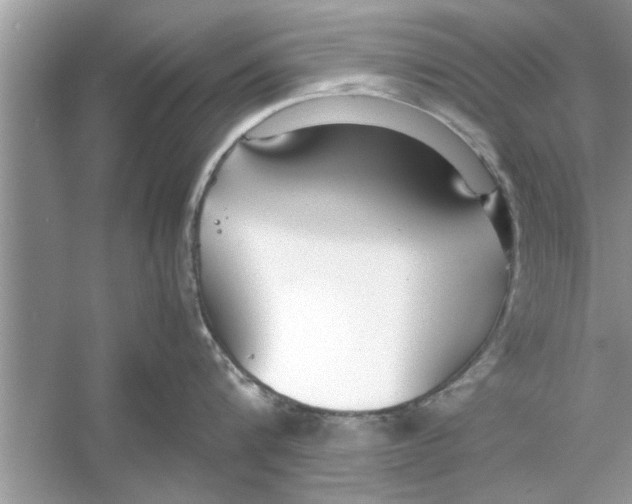 X0000053010816200508051159