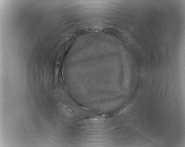 X0000053010818200508051158