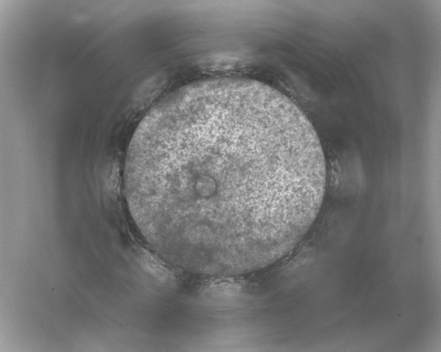 X0000053010820200508051158