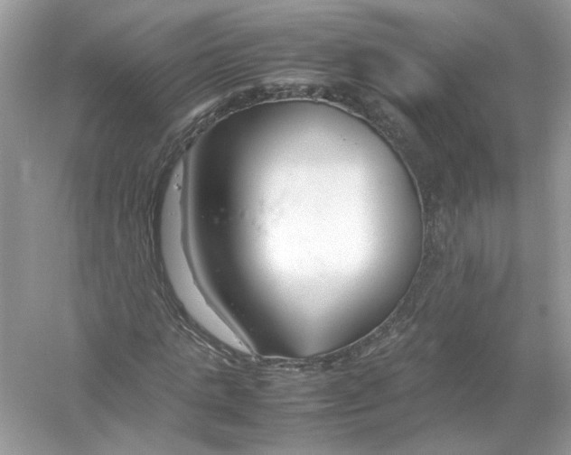 X0000053010821200508051158