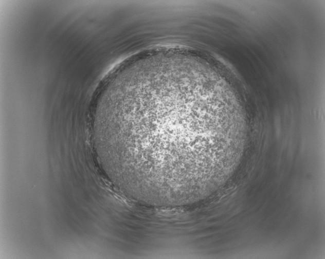 X0000053010823200508051158