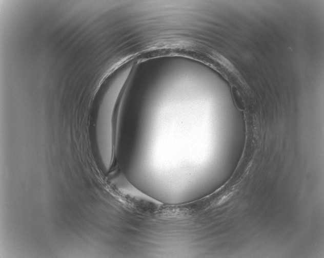 X0000053010826200508051158