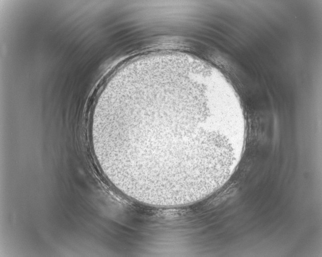 X0000053010828200508051158