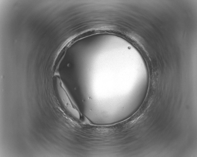 X0000053010829200508051158