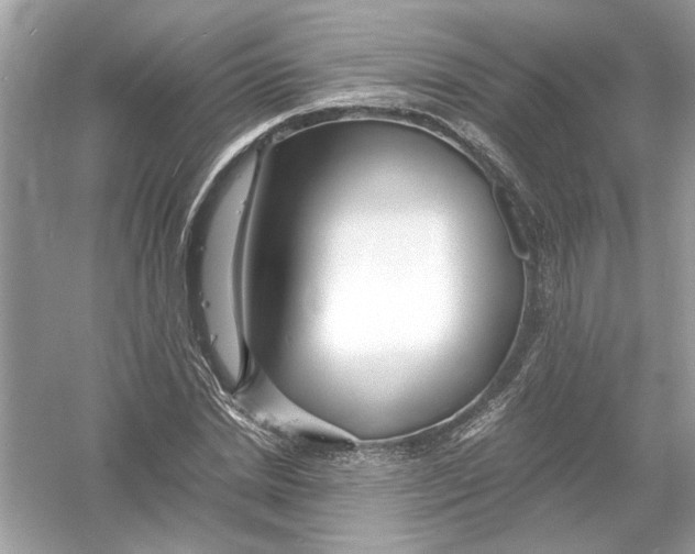 X0000053010830200508051158