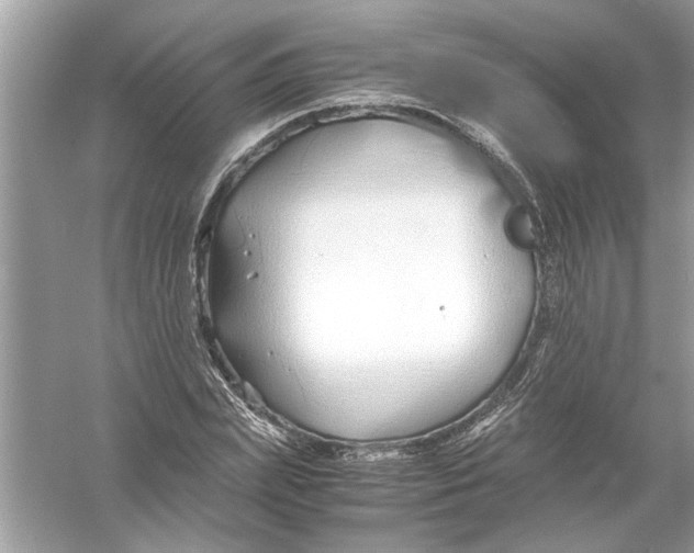 X0000053010831200508051158