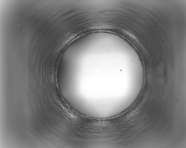 X0000053010833200508051158