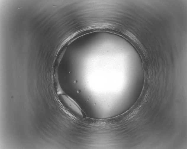 X0000053010834200508051158