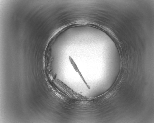 X0000053010839200508051158