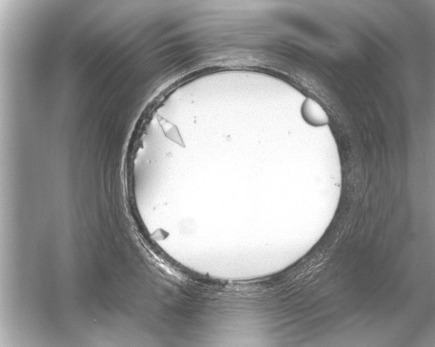 X0000053010840200508051158