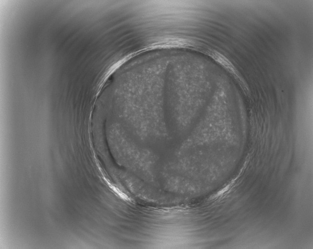 X0000053010842200508051158