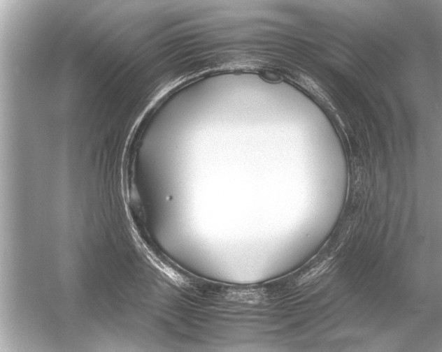 X0000053010843200508051158