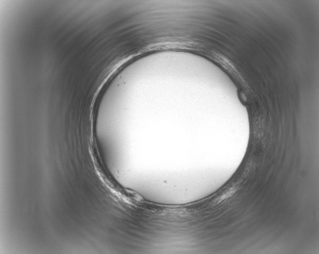 X0000053010844200508051158