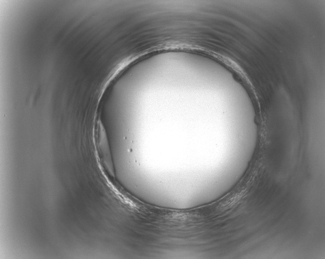 X0000053010847200508051158