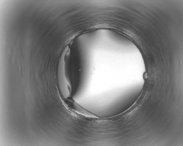 X0000053010849200508051158