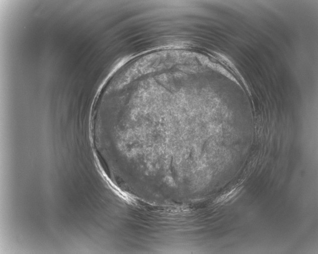 X0000053010851200508051158