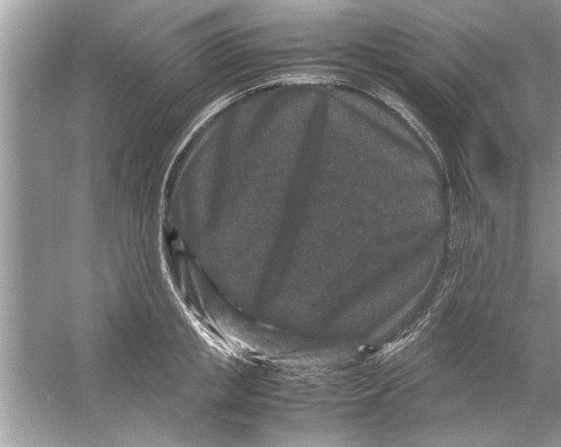 X0000053010853200508051158